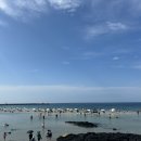 미드나잇코티지 이미지