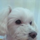 파트라슈안경점 이미지