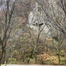 J오토존 이미지