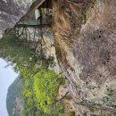 박진옥농장 이미지