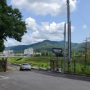 댕댕이 운동장 이미지