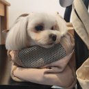 북면427 | 7월 셋째 주의 일상덤프