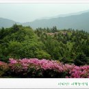 덕두산 Daum카페