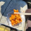 제주김만복동문