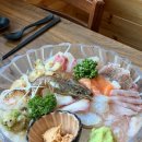 인제 술집 추천ㅣ초밥 맛집 료기 사시미 먹고 온 후기