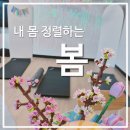 운동의 미학 | [정렬의 미학] 내 몸을 다시 세우는 시간— 수업후기