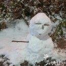 데굴데굴 이미지