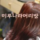 핑크머리방