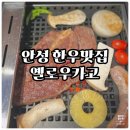 공도할인정육점 | 안성 옐로우카고, 한우 1++ 전문점 후기 (할인정보/가격/추천메뉴)