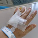 등너머농장 이미지