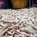 송담 이미지