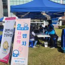 꽃밭정이 이미지