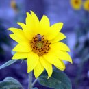 수문마을회관 이미지