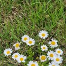 보성꽃식물원 | 순천만 국가정원 솔직 후기｜혼자 걷다가 시간 잊어버린 이유(1813km 여행 4일차, ‘혼자’가 좋아졌다)