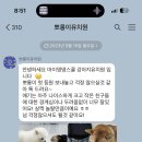 마이댕댕스쿨 이미지