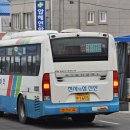 서부초등학교 사거리 이미지