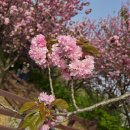 완산-124 이미지