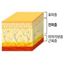 스위트의원 이미지