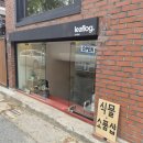 필레아 | [청주 소품샵] 운리단길_리프로그언더_필레아 페페 구매 후기