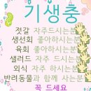 원정탕 이미지