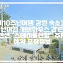 스테이동산항