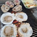 e편한 pc zone 이미지