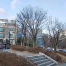 분당내곡로 이미지