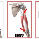 머슬엑스짐 이미지