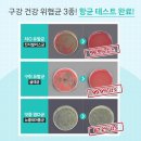 모아덴탈 이미지