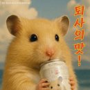 CU주공점 | 퇴사의 맛! CU 신상 세븐브로이 대표밀맥주 정서불안 김햄찌 콜라보 이벤트 내돈내산 후기