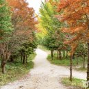 호수풍경속으로 이미지