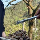 밀양로그 이미지