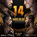 D-11) UFC 308 주요 경기 배당 이미지