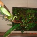 길상초등학교 이미지