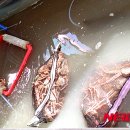 경주수산유통 이미지