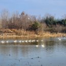 목교농장 이미지