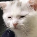 햇빛병원 이미지