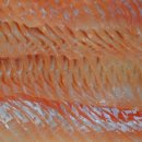 터미널수산 이미지