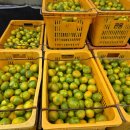 유라농장 이미지