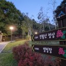 세종동_전월산 무궁화 테마공원 이미지