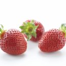 현대미학코스메틱 이미지