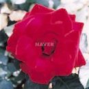 참사랑주막 이미지