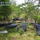 진도공인중개사사무소 이미지