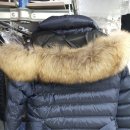 백조 명품 세탁 이미지