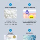 데이파크약국 이미지