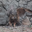 원주시청 이미지