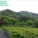 안성면116 네이버블로그