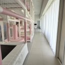 구공스테이도고키즈 이미지