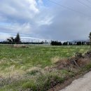 상예동-5 이미지