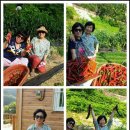 명대농장 이미지